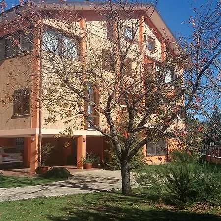 Penzion Leonessaffittacamere 3*