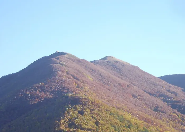 Leonessaffittacamere 3*